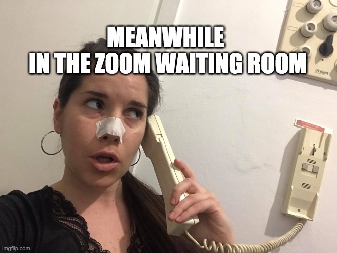Zoom Waiting Room | MEANWHILE 
IN THE ZOOM WAITING ROOM | image tagged in meme,zoom,waiting,internet,covid19,room | made w/ Imgflip meme maker