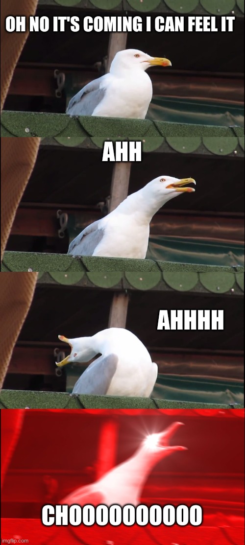 Inhaling Seagull Meme | OH NO IT'S COMING I CAN FEEL IT; AHH; AHHHH; CHOOOOOOOOOO | image tagged in memes,inhaling seagull | made w/ Imgflip meme maker