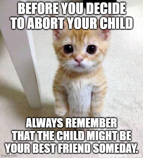 Cute Cat Meme | BEFORE YOU DECIDE TO ABORT YOUR CHILD; ALWAYS REMEMBER THAT THE CHILD MIGHT BE YOUR BEST FRIEND SOMEDAY. | image tagged in memes,cute cat,cats,cute,abortion,remember | made w/ Imgflip meme maker