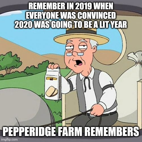 Pepperidge Farm Remembers | REMEMBER IN 2019 WHEN EVERYONE WAS CONVINCED 2020 WAS GOING TO BE A LIT YEAR; PEPPERIDGE FARM REMEMBERS | image tagged in memes,pepperidge farm remembers | made w/ Imgflip meme maker