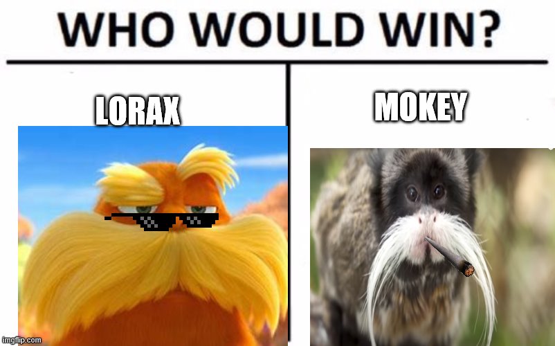 Who Would Win? Meme | MOKEY; LORAX | image tagged in memes,who would win | made w/ Imgflip meme maker