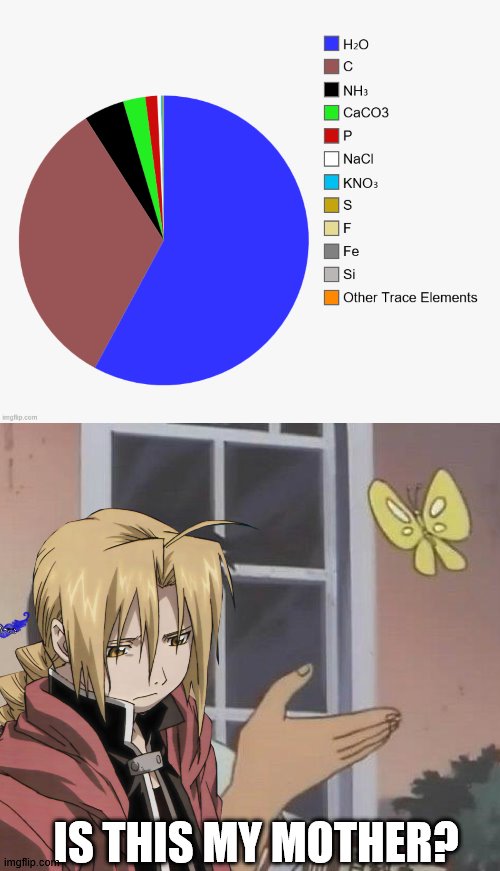 Is This My Mother? | IS THIS MY MOTHER? | image tagged in memes,is this a pigeon,fullmetal alchemist,graphs,pie charts,mother | made w/ Imgflip meme maker