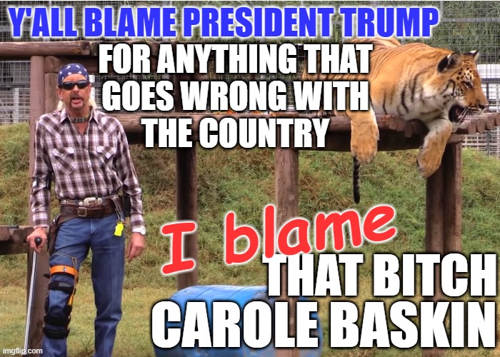 Don't blame Trump | Y'ALL BLAME PRESIDENT TRUMP; FOR ANYTHING THAT
GOES WRONG WITH
THE COUNTRY; I blame; THAT BITCH; CAROLE BASKIN | image tagged in president trump,joe exotic,tiger king,carole baskin,trump2020 | made w/ Imgflip meme maker