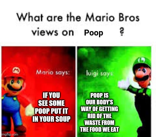 Mario Brothers Veiws | Poop; POOP IS OUR BODY'S WAY OF GETTING RID OF THE WASTE FROM THE FOOD WE EAT; IF YOU SEE SOME POOP PUT IT IN YOUR SOUP | image tagged in mario brothers veiws | made w/ Imgflip meme maker