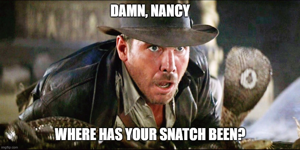 Indiana Jones Snakes | DAMN, NANCY WHERE HAS YOUR SNATCH BEEN? | image tagged in indiana jones snakes | made w/ Imgflip meme maker