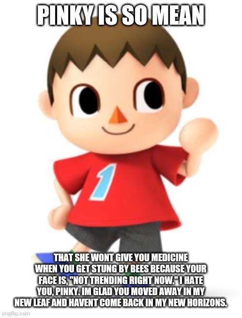 Animal Crossing Logic | PINKY IS SO MEAN; THAT SHE WONT GIVE YOU MEDICINE WHEN YOU GET STUNG BY BEES BECAUSE YOUR FACE IS, "NOT TRENDING RIGHT NOW." I HATE YOU, PINKY. IM GLAD YOU MOVED AWAY IN MY NEW LEAF AND HAVENT COME BACK IN MY NEW HORIZONS. | image tagged in animal crossing logic | made w/ Imgflip meme maker