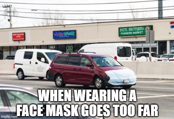 Overkill | WHEN WEARING A FACE MASK GOES TOO FAR | image tagged in coronavirus,face mask | made w/ Imgflip meme maker