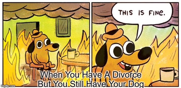 Dogs | When You Have A Divorce But You Still Have Your Dog | image tagged in memes,this is fine | made w/ Imgflip meme maker