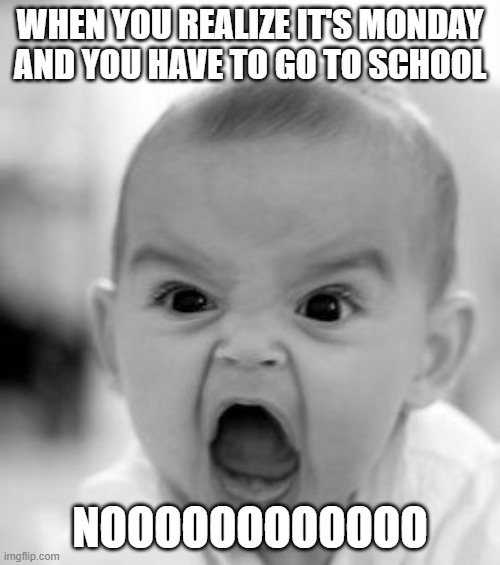 school | WHEN YOU REALIZE IT'S MONDAY AND YOU HAVE TO GO TO SCHOOL; NOOOOOOOOOOOO | image tagged in memes,angry baby | made w/ Imgflip meme maker