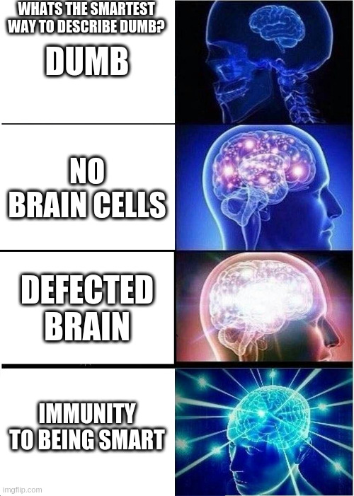 Expanding Brain | WHATS THE SMARTEST WAY TO DESCRIBE DUMB? DUMB; NO BRAIN CELLS; DEFECTED BRAIN; IMMUNITY TO BEING SMART | image tagged in memes,expanding brain | made w/ Imgflip meme maker