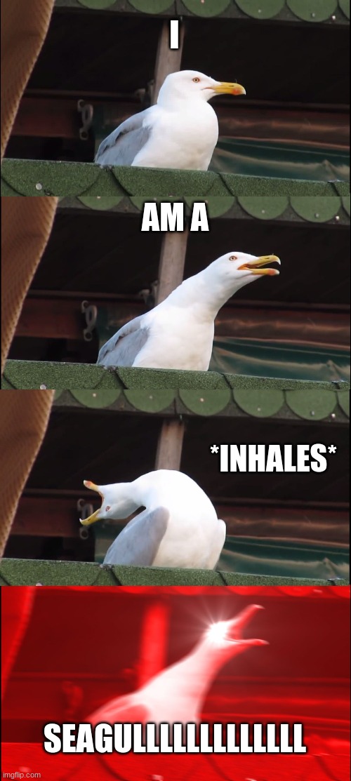 Inhaling Seagull | I; AM A; *INHALES*; SEAGULLLLLLLLLLLLL | image tagged in memes,inhaling seagull | made w/ Imgflip meme maker