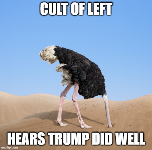 Ostrich | CULT OF LEFT; HEARS TRUMP DID WELL | image tagged in ostrich,crazy democrats | made w/ Imgflip meme maker