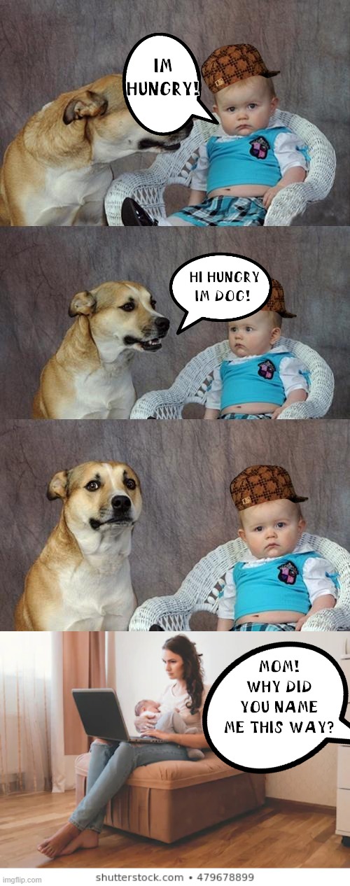 WHY? WHY? WHYYY!? | IM HUNGRY! HI HUNGRY IM DOG! MOM! WHY DID YOU NAME ME THIS WAY? | image tagged in memes,dad joke dog,asdfmovie | made w/ Imgflip meme maker