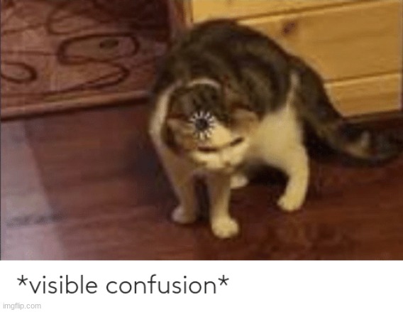 visible confusion | image tagged in visible confusion | made w/ Imgflip meme maker