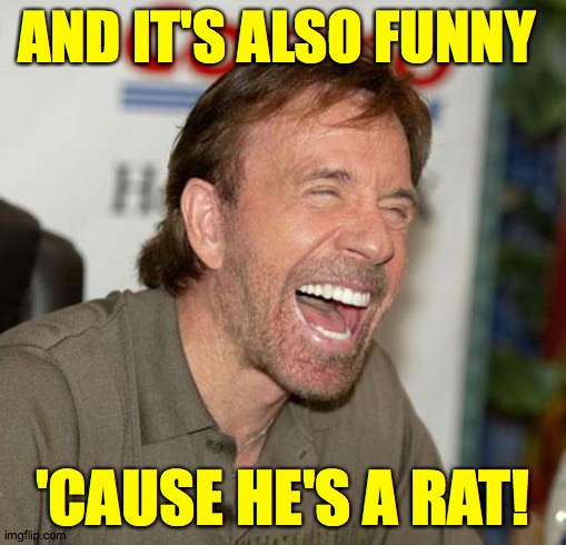 Chuck Norris Laughing Meme | AND IT'S ALSO FUNNY 'CAUSE HE'S A RAT! | image tagged in memes,chuck norris laughing,chuck norris | made w/ Imgflip meme maker