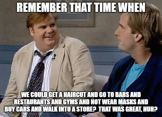 Remember that time |  REMEMBER THAT TIME WHEN; WE COULD GET A HAIRCUT AND GO TO BARS AND RESTAURANTS AND GYMS AND NOT WEAR MASKS AND BUY CARS AND WALK INTO A STORE?  THAT WAS GREAT, HUH? | image tagged in remember that time | made w/ Imgflip meme maker