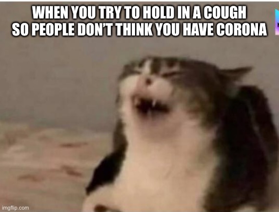 Trying not to cough | WHEN YOU TRY TO HOLD IN A COUGH SO PEOPLE DON’T THINK YOU HAVE CORONA | image tagged in funny cat memes | made w/ Imgflip meme maker