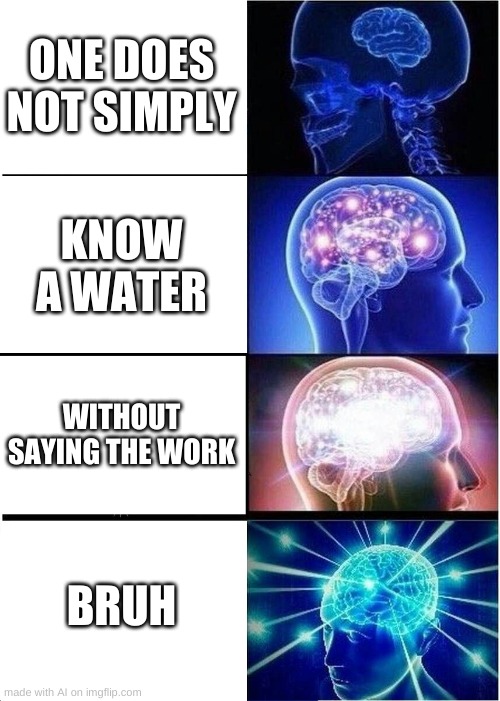 Expanding Brain | ONE DOES NOT SIMPLY; KNOW A WATER; WITHOUT SAYING THE WORK; BRUH | image tagged in memes,expanding brain | made w/ Imgflip meme maker