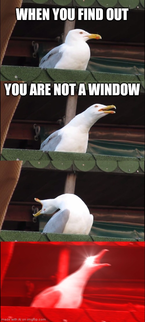 Inhaling Seagull | WHEN YOU FIND OUT; YOU ARE NOT A WINDOW | image tagged in memes,inhaling seagull | made w/ Imgflip meme maker