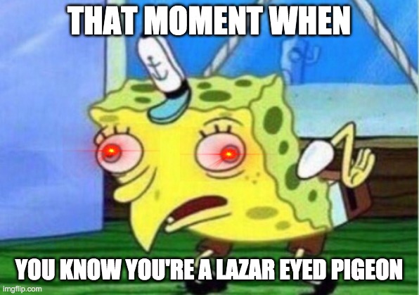 BECOME A DANK PIGEON | THAT MOMENT WHEN; YOU KNOW YOU'RE A LAZAR EYED PIGEON | image tagged in memes,mocking spongebob,is this a pigeon,dank | made w/ Imgflip meme maker