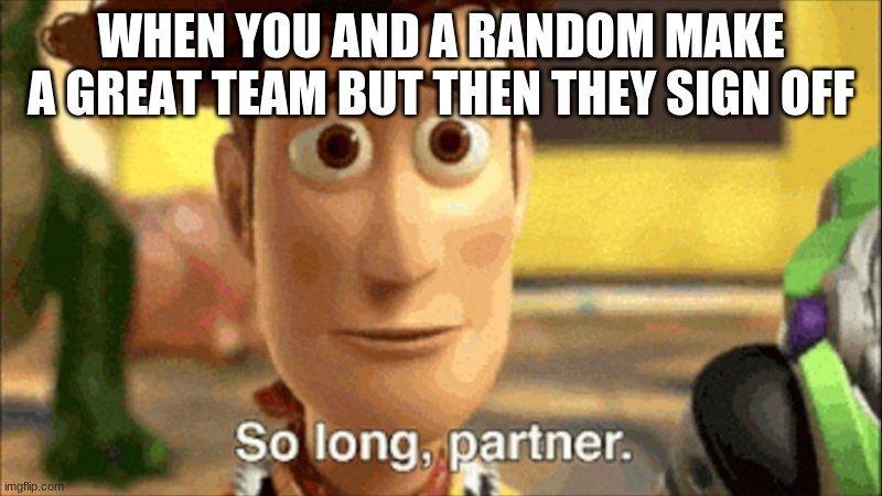 so long partner | WHEN YOU AND A RANDOM MAKE A GREAT TEAM BUT THEN THEY SIGN OFF | image tagged in so long partner | made w/ Imgflip meme maker