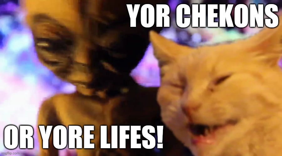 Chicken or life | YOR CHEKONS; OR YORE LIFES! | image tagged in chicken,alien,cat | made w/ Imgflip meme maker