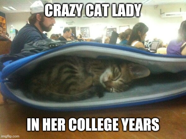THE BEGINNING | CRAZY CAT LADY; IN HER COLLEGE YEARS | image tagged in cats,funny cats | made w/ Imgflip meme maker