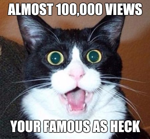 Surprised cat lol | ALMOST 100,000 VIEWS YOUR FAMOUS AS HECK | image tagged in surprised cat lol | made w/ Imgflip meme maker