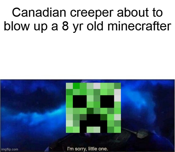 Im sorry little one | Canadian creeper about to blow up a 8 yr old minecrafter | image tagged in im sorry little one | made w/ Imgflip meme maker