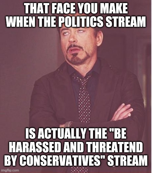 Anyone else? | THAT FACE YOU MAKE WHEN THE POLITICS STREAM; IS ACTUALLY THE "BE HARASSED AND THREATEND BY CONSERVATIVES" STREAM | image tagged in memes,face you make robert downey jr | made w/ Imgflip meme maker