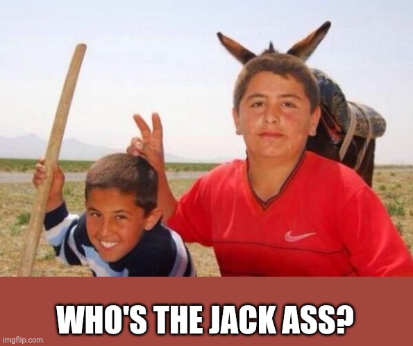 HA | WHO'S THE JACK ASS? | image tagged in memes,donkey | made w/ Imgflip meme maker