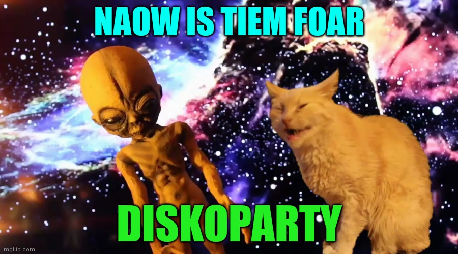 Diskoparty | NAOW IS TIEM FOAR; DISKOPARTY | image tagged in cat,alien,party | made w/ Imgflip meme maker