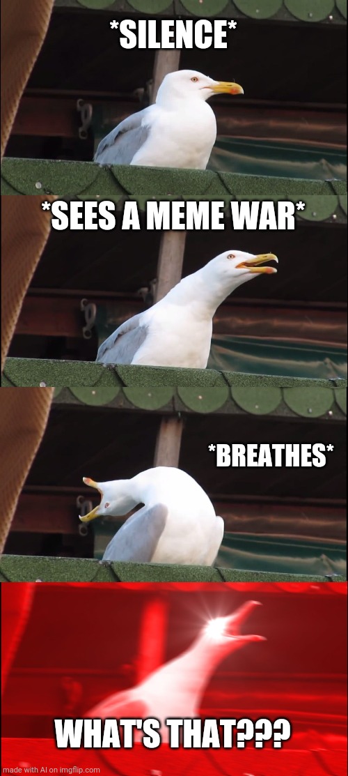 Gull | *SILENCE*; *SEES A MEME WAR*; *BREATHES*; WHAT'S THAT??? | image tagged in memes,inhaling seagull | made w/ Imgflip meme maker