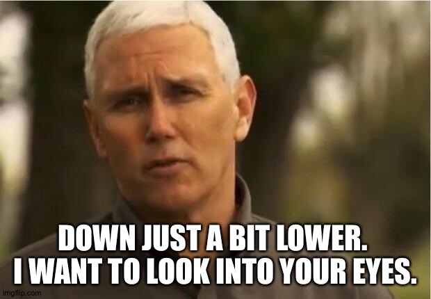 Mike Pence | DOWN JUST A BIT LOWER.  I WANT TO LOOK INTO YOUR EYES. | image tagged in mike pence | made w/ Imgflip meme maker