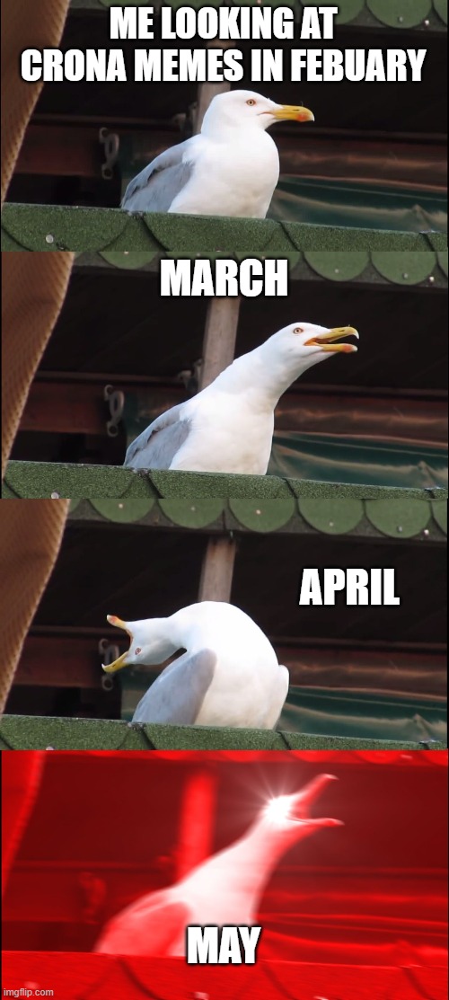 Inhaling Seagull Meme | ME LOOKING AT CRONA MEMES IN FEBUARY; MARCH; APRIL; MAY | image tagged in memes,inhaling seagull | made w/ Imgflip meme maker