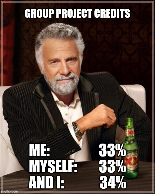 Group project | GROUP PROJECT CREDITS; ME:                  33%
MYSELF:        33%
AND I:             34% | image tagged in memes,the most interesting man in the world,school,quarantine | made w/ Imgflip meme maker