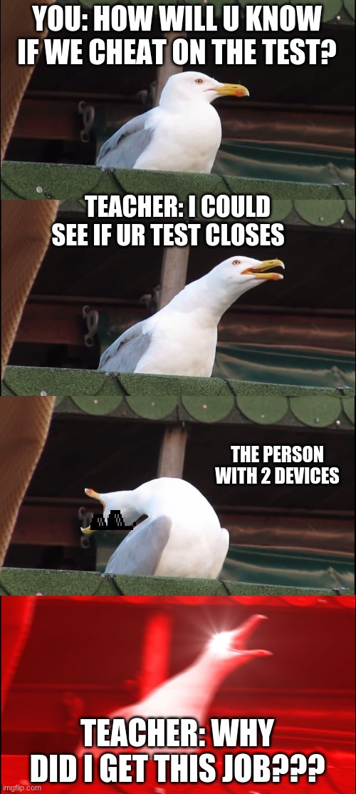 Inhaling Seagull Meme | YOU: HOW WILL U KNOW IF WE CHEAT ON THE TEST? TEACHER: I COULD SEE IF UR TEST CLOSES; THE PERSON WITH 2 DEVICES; TEACHER: WHY DID I GET THIS JOB??? | image tagged in memes,inhaling seagull | made w/ Imgflip meme maker