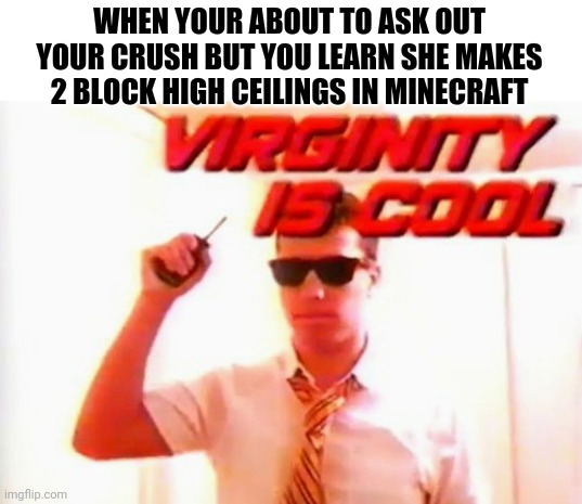 WHEN YOUR ABOUT TO ASK OUT YOUR CRUSH BUT YOU LEARN SHE MAKES 2 BLOCK HIGH CEILINGS IN MINECRAFT | image tagged in minecraft,memes,virginity,cool,dank memes,facepalm | made w/ Imgflip meme maker