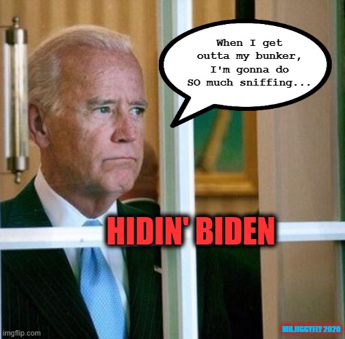 Sad Joe Biden | When I get outta my bunker, I'm gonna do SO much sniffing... HIDIN' BIDEN; MR.JIGGYFLY 2020 | image tagged in sad joe biden,creepy joe biden,msm lies,cnn fake news,hillary for prison,trump 2020 | made w/ Imgflip meme maker