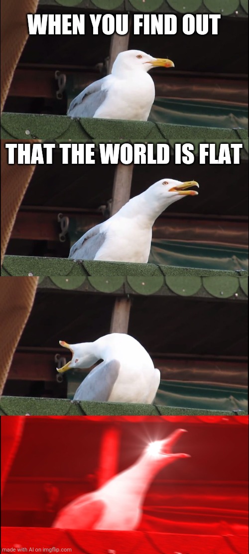Inhaling Seagull | WHEN YOU FIND OUT; THAT THE WORLD IS FLAT | image tagged in memes,inhaling seagull,flat earth,flat earthers,flatearth | made w/ Imgflip meme maker