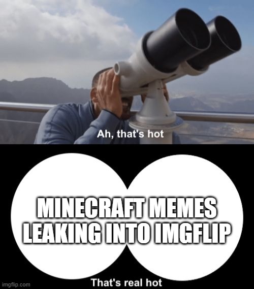 That’s Hot | MINECRAFT MEMES LEAKING INTO IMGFLIP | image tagged in thats hot | made w/ Imgflip meme maker