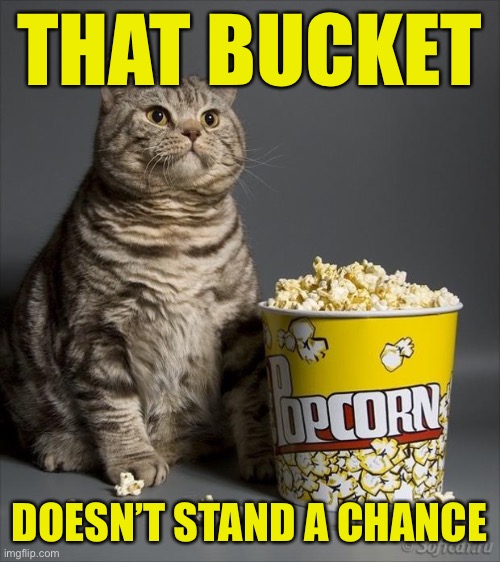 Cat eating popcorn | THAT BUCKET DOESN’T STAND A CHANCE | image tagged in cat eating popcorn | made w/ Imgflip meme maker