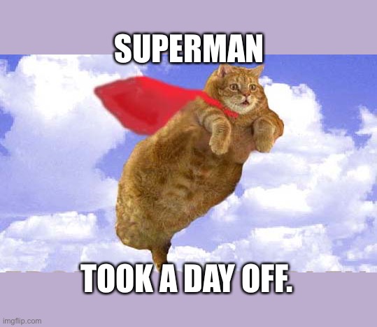 flying cats | SUPERMAN; TOOK A DAY OFF. | image tagged in flying cats | made w/ Imgflip meme maker