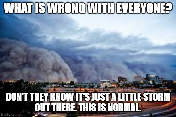 That Tiny Storm | WHAT IS WRONG WITH EVERYONE? DON'T THEY KNOW IT'S JUST A LITTLE STORM
OUT THERE. THIS IS NORMAL. | image tagged in storm | made w/ Imgflip meme maker