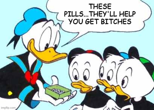 Duck Rufees (admit it, you read it in his voice!) | THESE PILLS...THEY'LL HELP YOU GET BITCHES | image tagged in donald duck asks | made w/ Imgflip meme maker