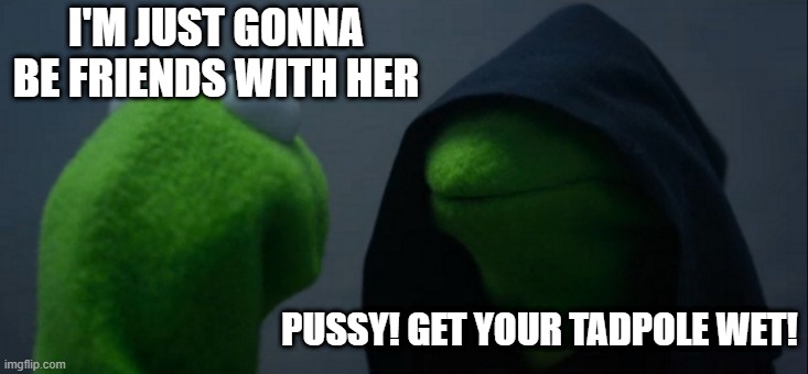 Friend Zone | I'M JUST GONNA BE FRIENDS WITH HER; PUSSY! GET YOUR TADPOLE WET! | image tagged in memes,evil kermit | made w/ Imgflip meme maker