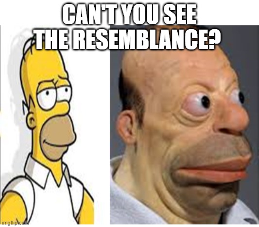 Homer Simpsons IRL | CAN'T YOU SEE THE RESEMBLANCE? | image tagged in homer | made w/ Imgflip meme maker