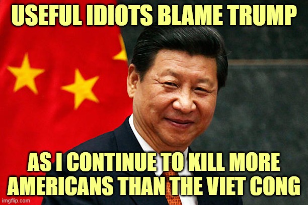 Mass murderer Xi JinPing | USEFUL IDIOTS BLAME TRUMP; AS I CONTINUE TO KILL MORE AMERICANS THAN THE VIET CONG | image tagged in xi jinping | made w/ Imgflip meme maker