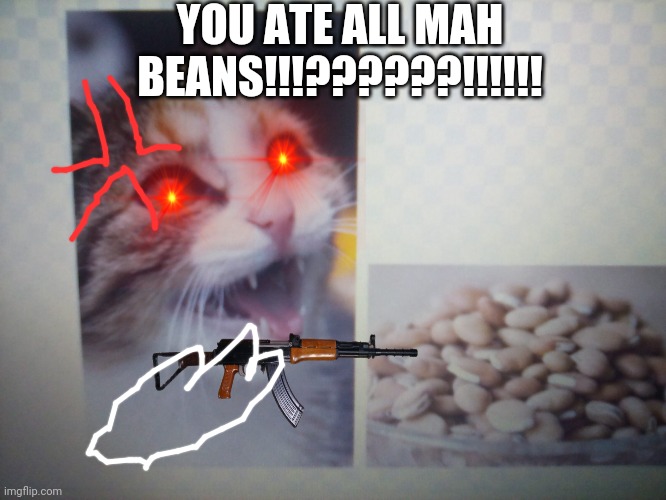 Bean obsessed cat | YOU ATE ALL MAH BEANS!!!??????!!!!!! | image tagged in memes | made w/ Imgflip meme maker