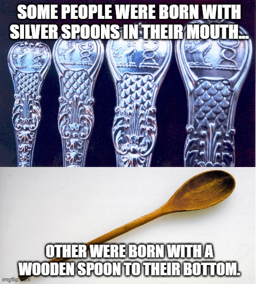 Spoons.... | SOME PEOPLE WERE BORN WITH SILVER SPOONS IN THEIR MOUTH... OTHER WERE BORN WITH A WOODEN SPOON TO THEIR BOTTOM. | image tagged in 2020,spoon,rich,poor | made w/ Imgflip meme maker